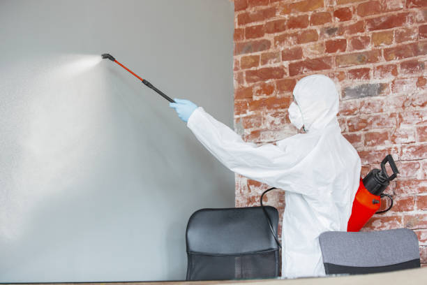 Best Environmental Consulting for Mold Prevention  in Mundelein, IL