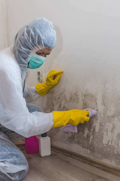 Best Residential Mold Inspection & Testing  in Mundelein, IL