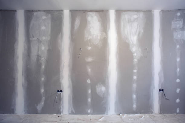 Best Comprehensive Air Testing for Mold Contaminants  in Mundelein, IL